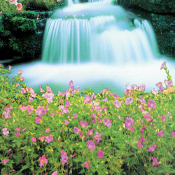 Image 01