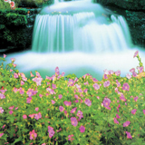 Image 02